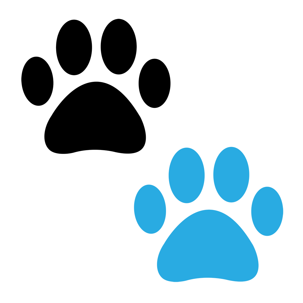 dog-canine-puppy-surgery-surgeon-doctor-clinic-hospital-vet-veterinarian-animal-pet-tplo-todd-allen-mobile-stlouis-missouri-local-specialty